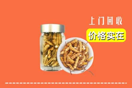 襄阳市老河口回收散虫草