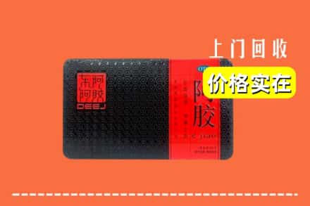 襄阳市老河口回收阿胶
