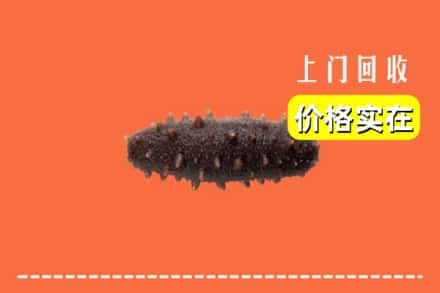 襄阳市老河口回收海参